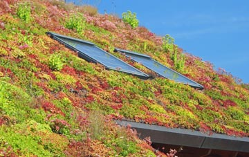 Hillesley living roof systems